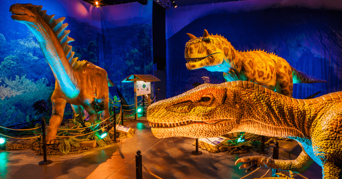 Lightspeed + NetSuite Help Imagine Exhibitions Gather Data